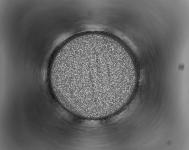 X0000102831261200809151031