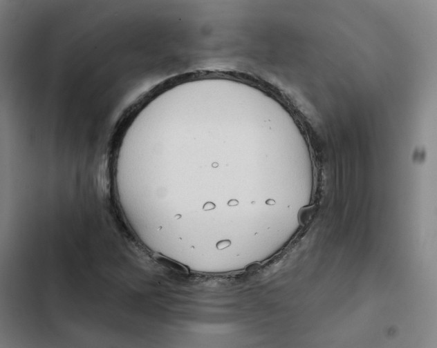 X0000102831262200809151031