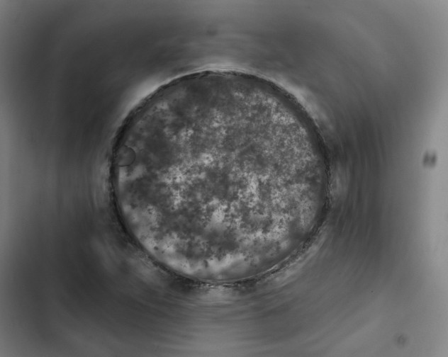 X0000102831263200809151031