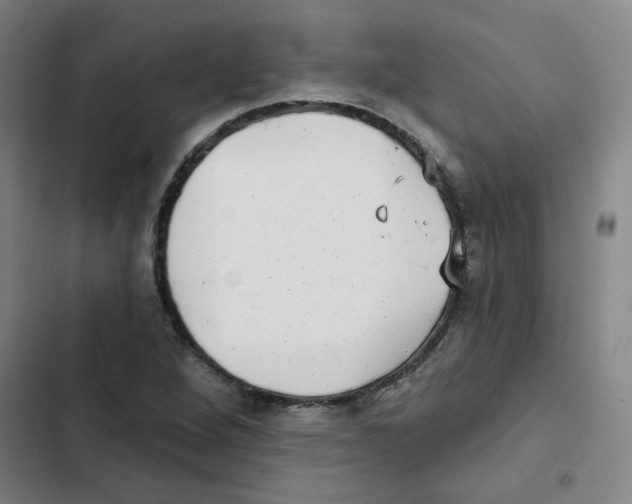 X0000102831264200809151031