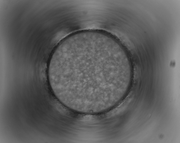 X0000102831265200809151031