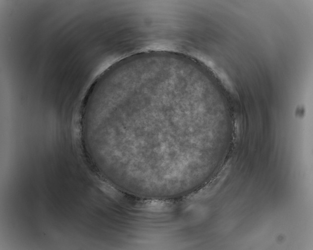 X0000102831266200809151031