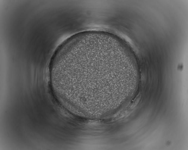 X0000102831267200809151031