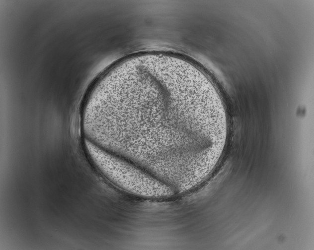 X0000102831269200809151031