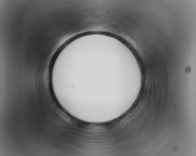 X0000102831270200809151031