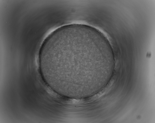 X0000102831271200809151031