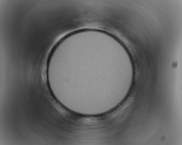 X0000102831272200809151031