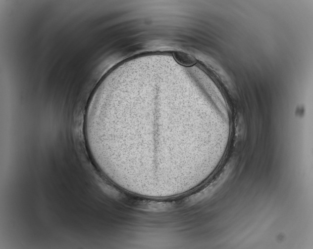 X0000102831273200809151031