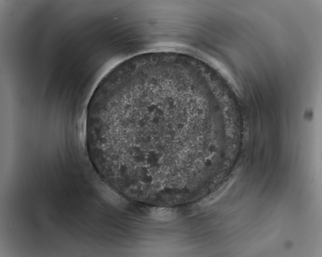 X0000102831275200809151031