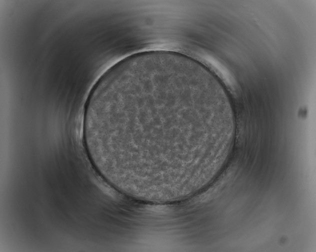 X0000102831276200809151031