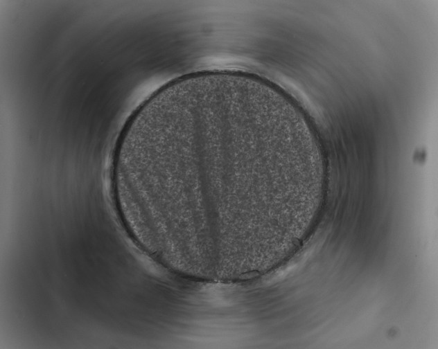 X0000102831277200809151031