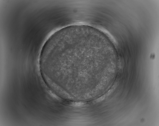 X0000102831278200809151031