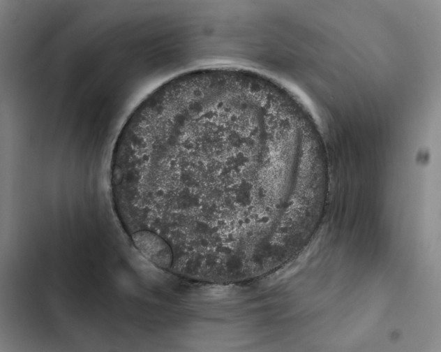 X0000102831279200809151031