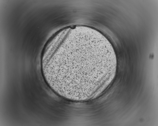 X0000102831280200809151031