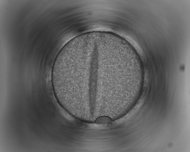 X0000102831281200809151031