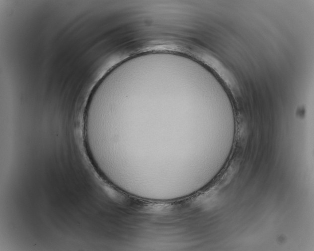 X0000102831282200809151031