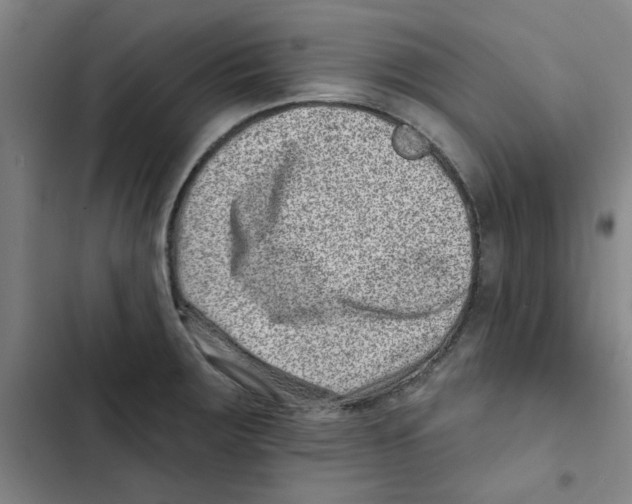 X0000102831283200809151031