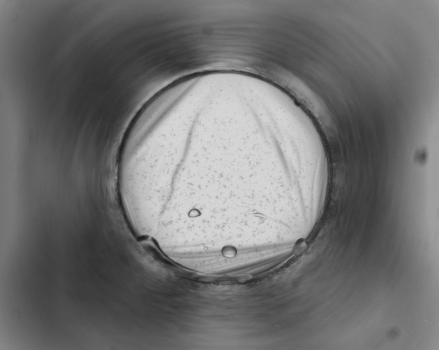 X0000102831284200809151031