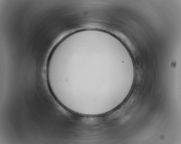 X0000102831286200809151030