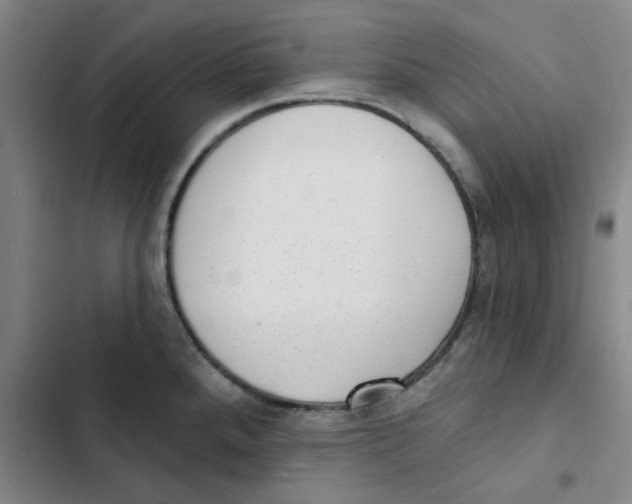 X0000102831288200809151030