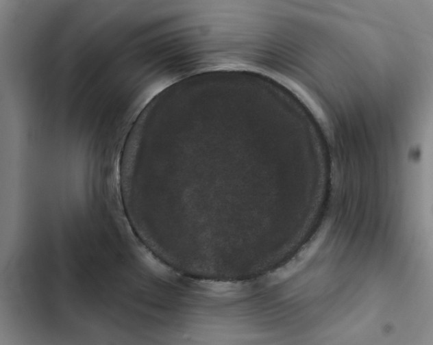 X0000102831289200809151030