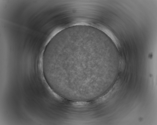 X0000102831290200809151030