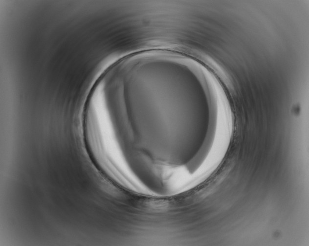 X0000102831291200809151030