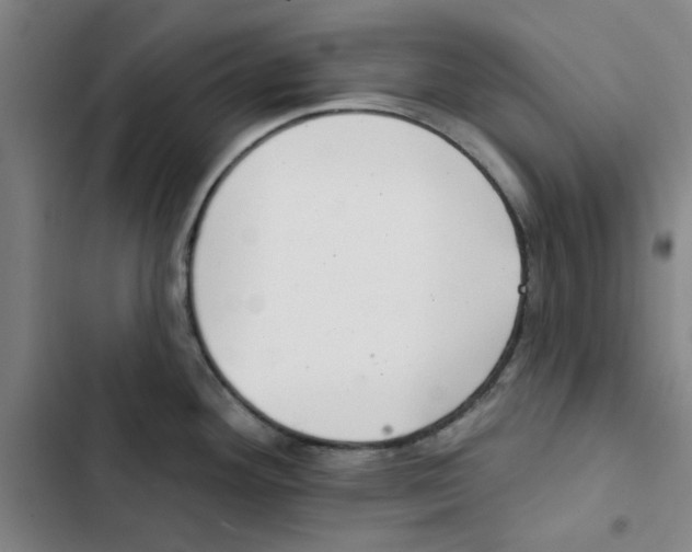 X0000102831292200809151030