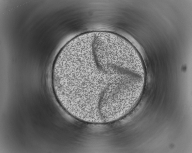 X0000102831293200809151030