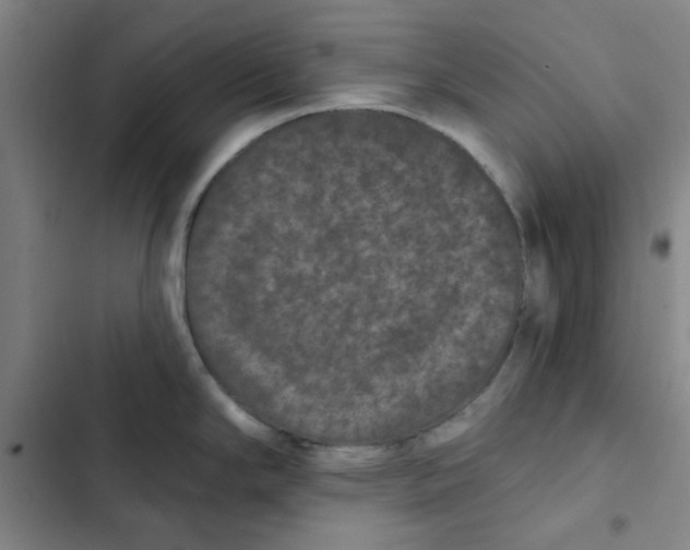 X0000102831294200809151030