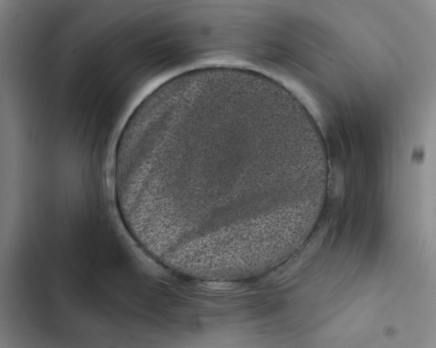 X0000102831295200809151030