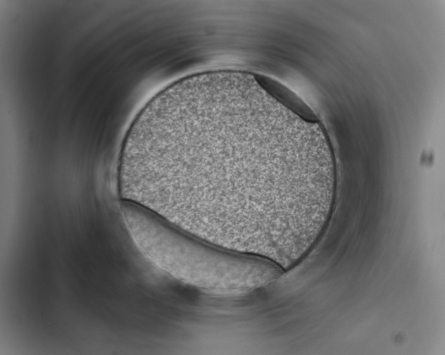 X0000102831296200809151030