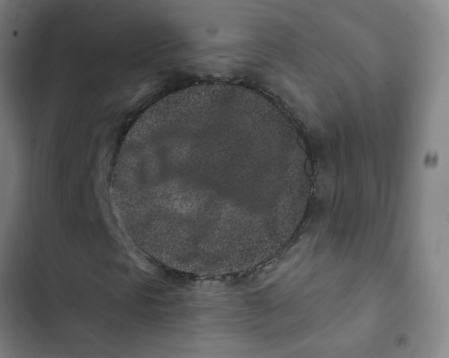 X0000102831297200809151030