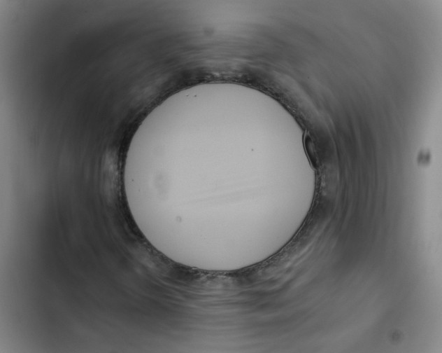 X0000102831298200809151030
