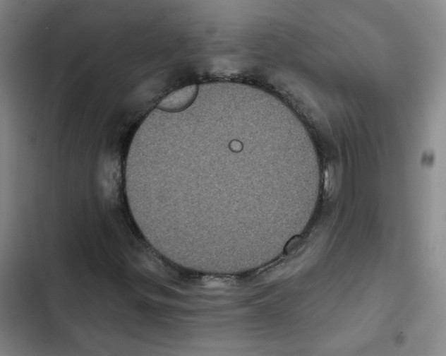 X0000102831299200809151030