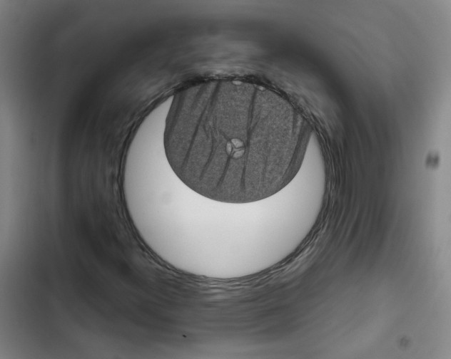 X0000102831300200809151030
