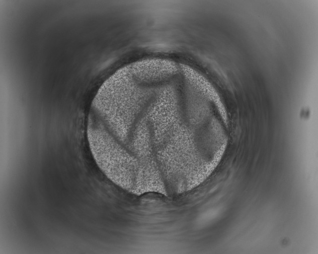 X0000102831301200809151030