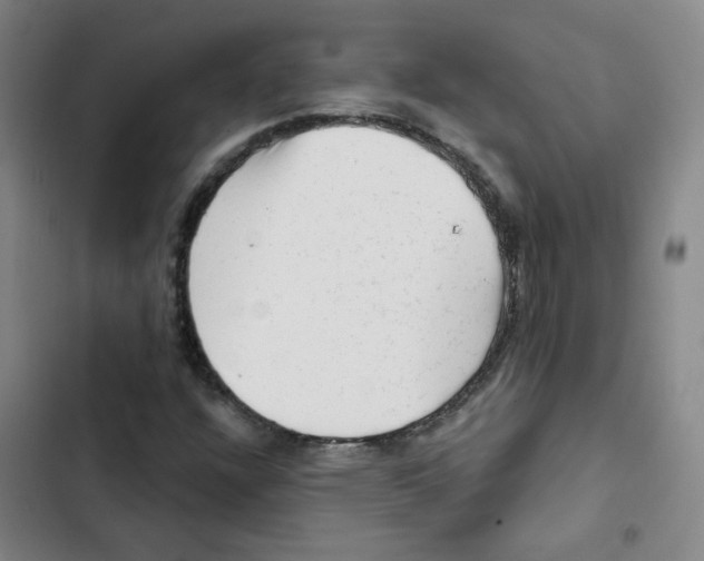 X0000102831304200809151030