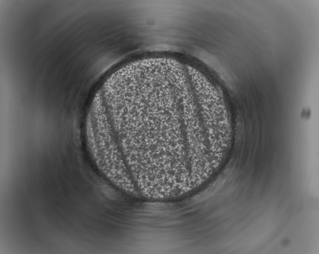 X0000102831305200809151030