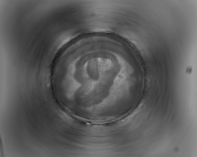 X0000102831306200809151030
