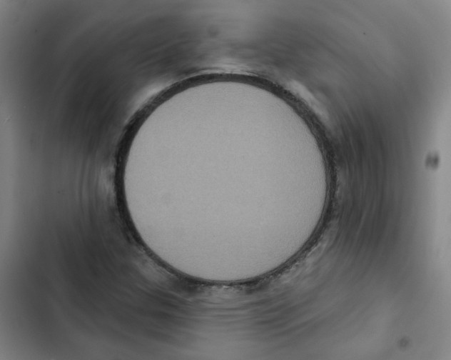 X0000102831307200809151030