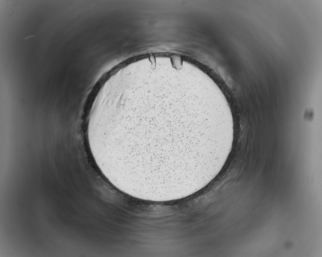 X0000102831308200809151030