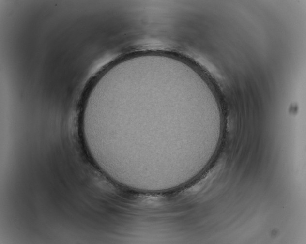 X0000102831309200809151030