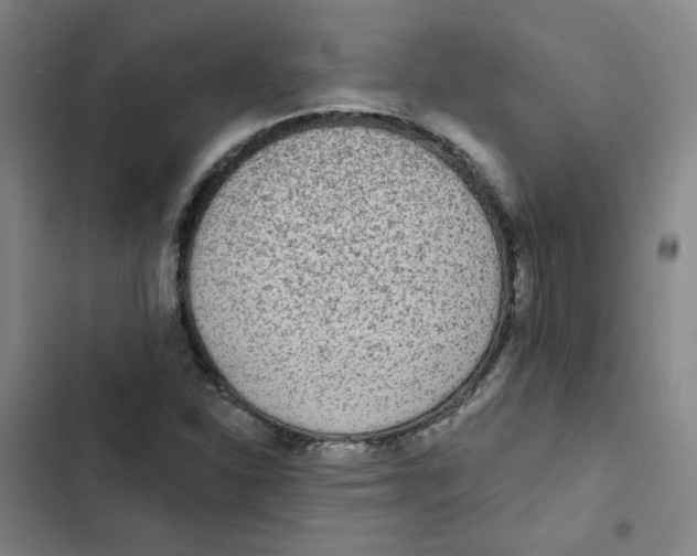 X0000102831310200809151030
