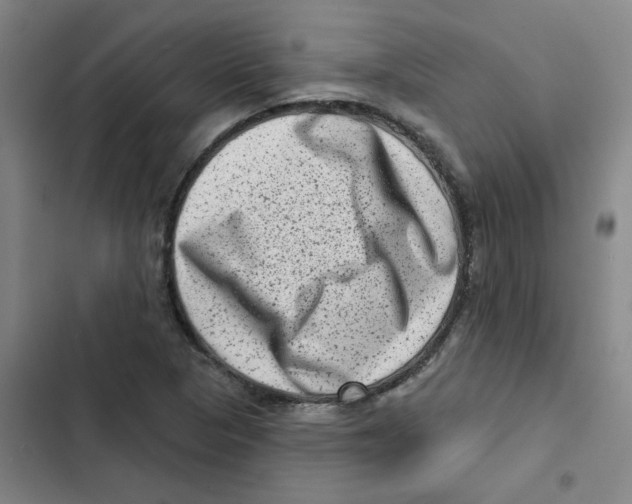 X0000102831313200809151030