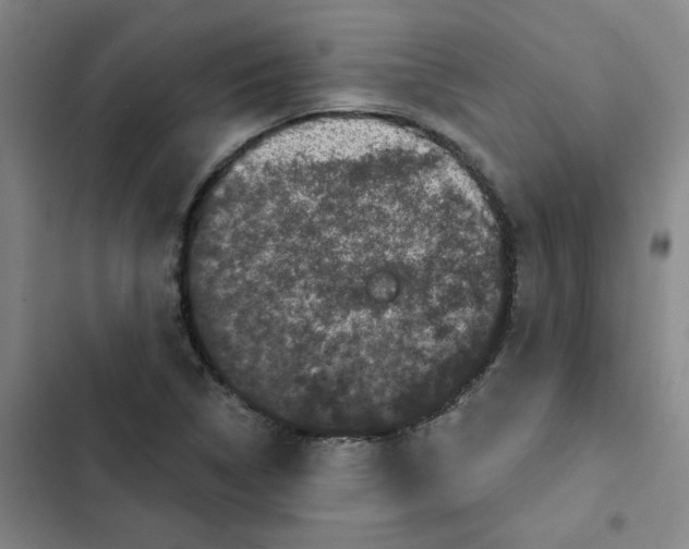 X0000102831314200809151030