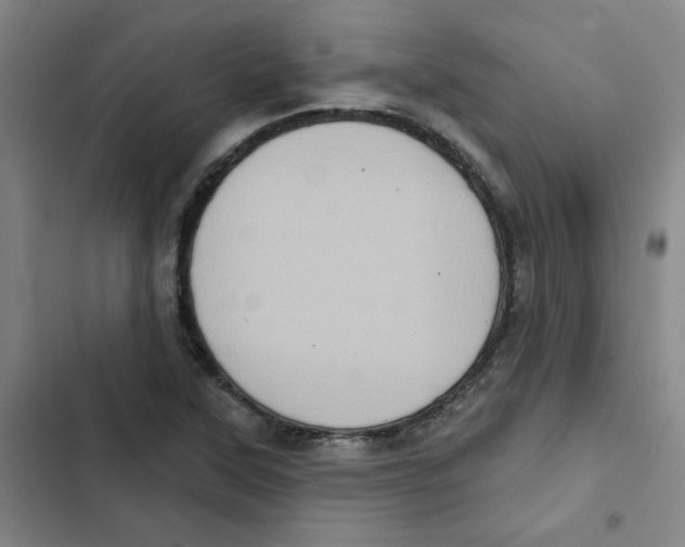 X0000102831315200809151030