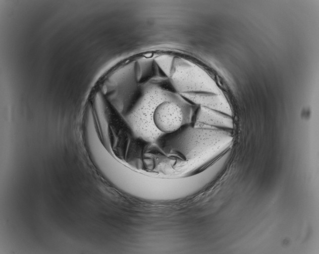 X0000102831316200809151030