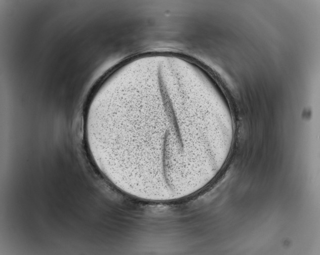 X0000102831317200809151030