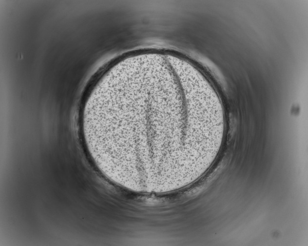 X0000102831318200809151030